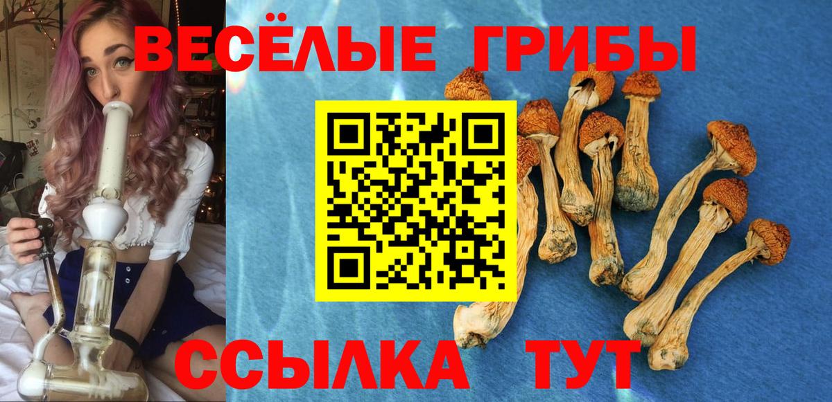 Галлюциногенные грибы мицелий Долгопрудный